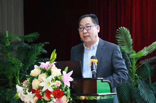 王殿彬：主题IP+区域联动+国际传播