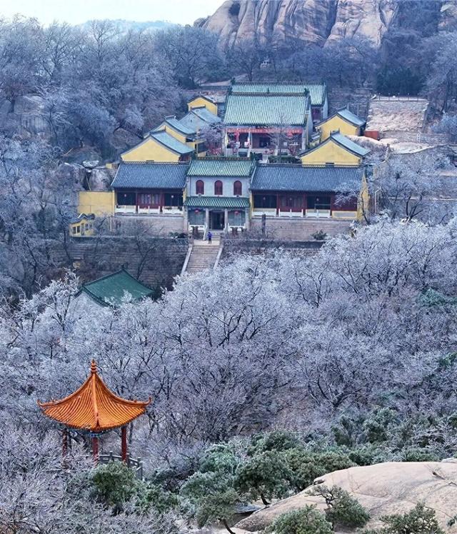 多地官宣：3月免门票