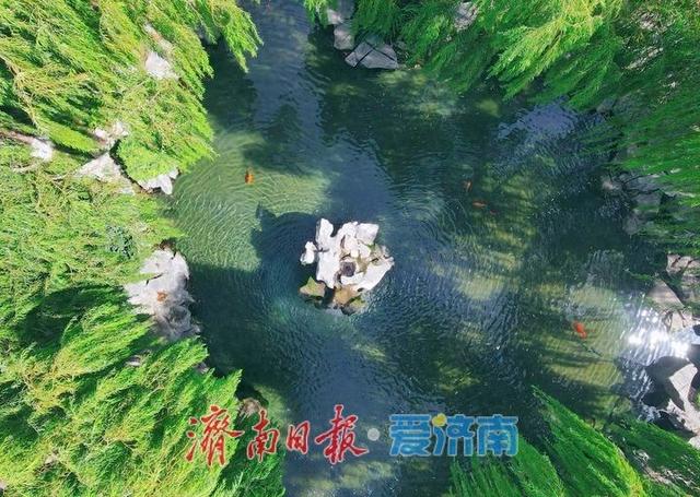 29米水位线触发月牙泉复涌，济南72名泉全面苏醒