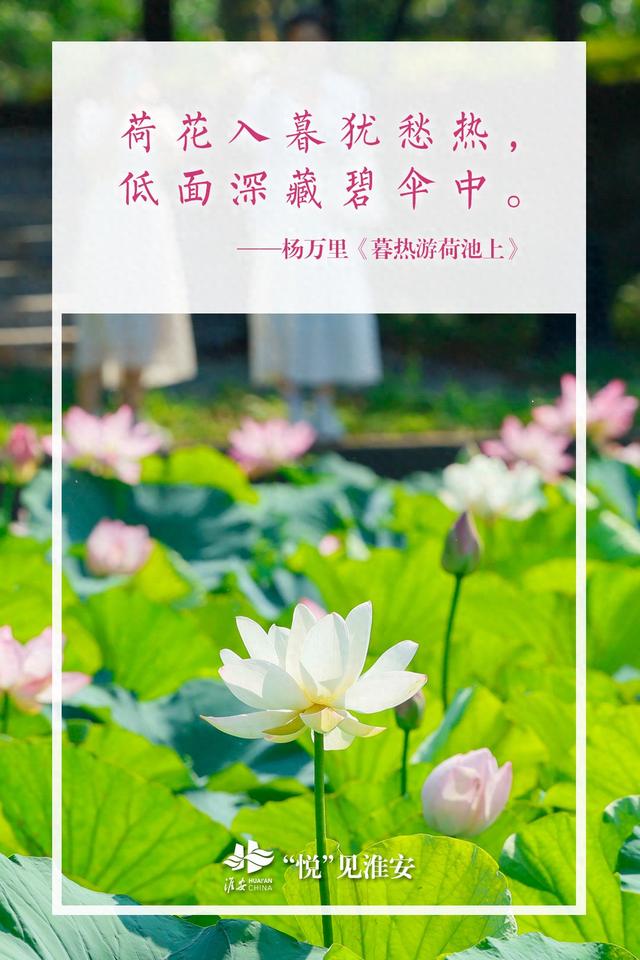 “悦”见淮安：诗行消夏录