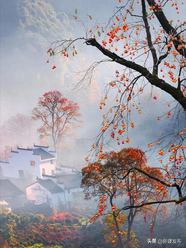 江西的秋，慢慢把山河写成诗