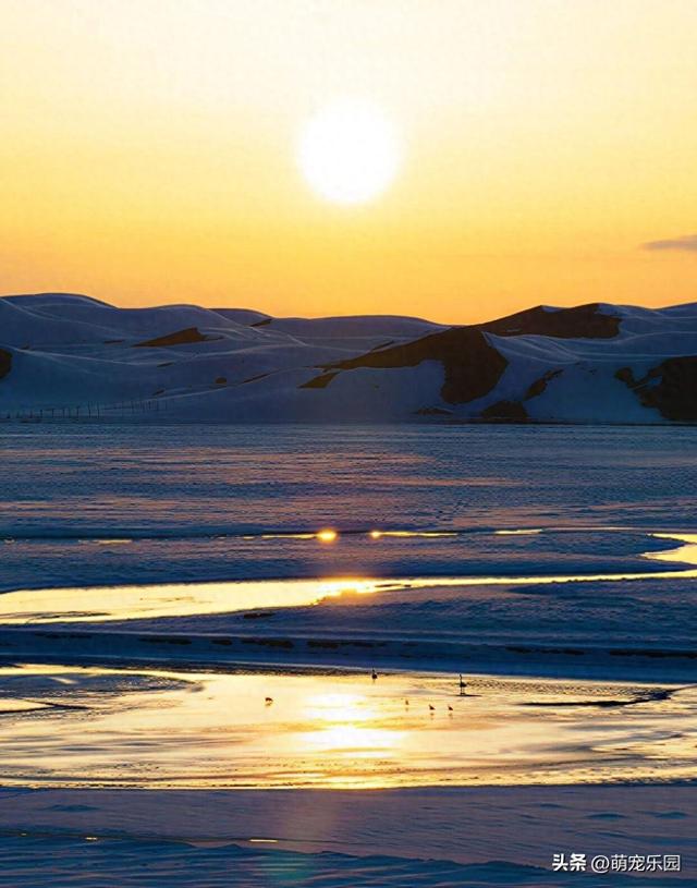 巴音布鲁克晨光染雪域，蓝调时光现壮美，新疆冬季如梦幻