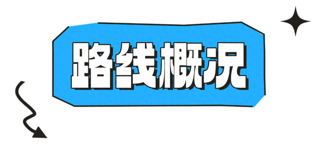 秋日研学，走进自然，探索竹的奥秘