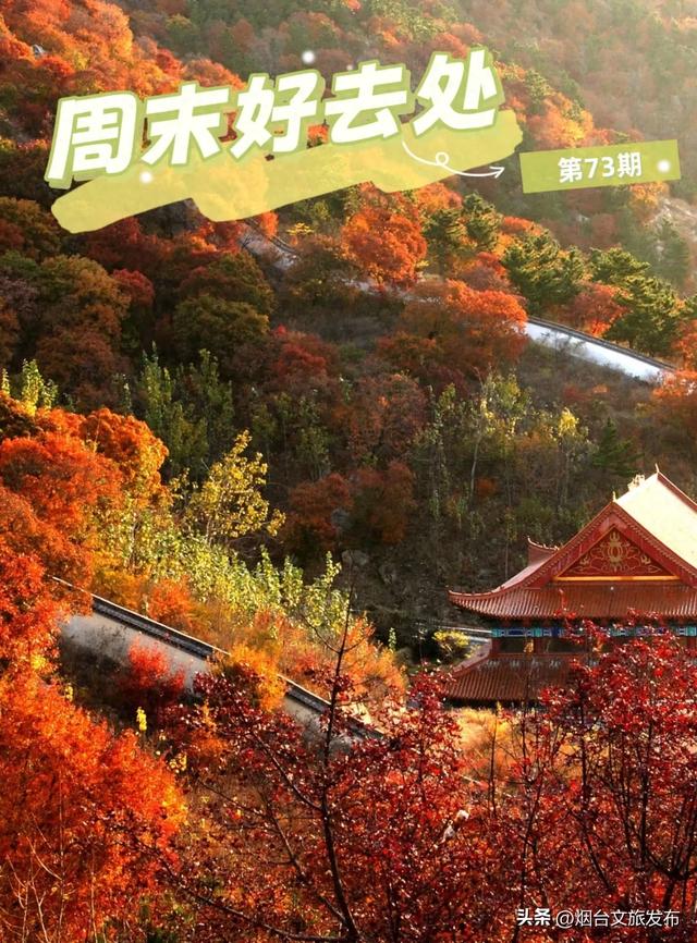 周末好去处丨人少免费!烟台小众公园美疯了