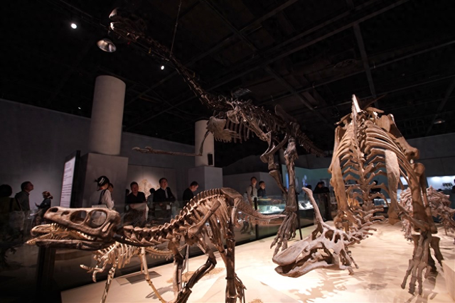 不止看展！上海自然博物馆、上海天文馆国庆中秋延时开放，邂逅星空、沉浸式恐龙奇妙夜体验等你来