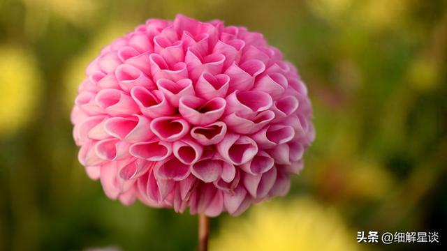 第二名：白羊座	，12月16号，接下来15天，就要喜从天降了！