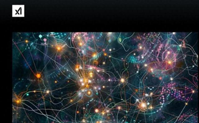 消息称英伟达将投资马斯克旗下xAI，成200亿美元融资参与方