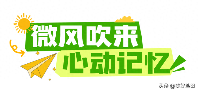 在盐田，我找到了理想假期的完美样本