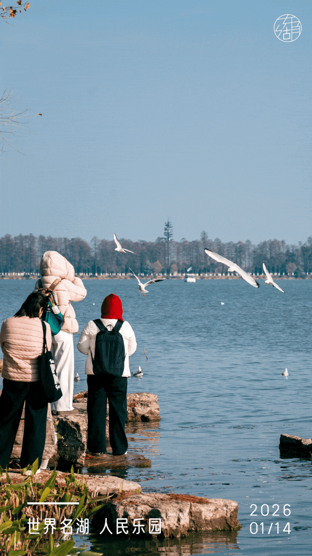 来东湖追鸥，这份私藏待办清单，请收好！