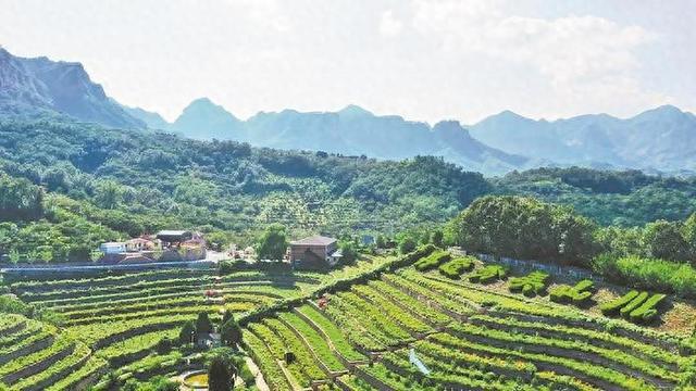 太行处处好风景