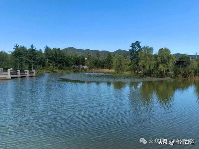 浙南最大的乡镇湿地公园原来在这里！