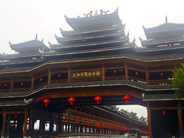 桂北秋色行之柿红