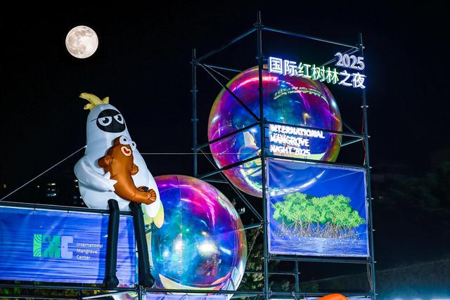 来！漫步2025国际红树林之夜，共赴“红树林+”生态盛会
