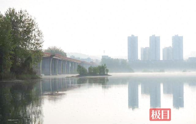 晨雾拥湿地，丹江口沧浪洲湿地公园上演“仙境大片”