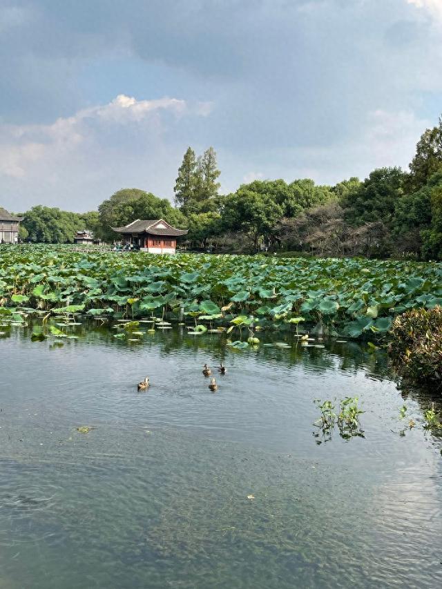 暑假可以带孩子去的 10 大免费景点及游玩攻略