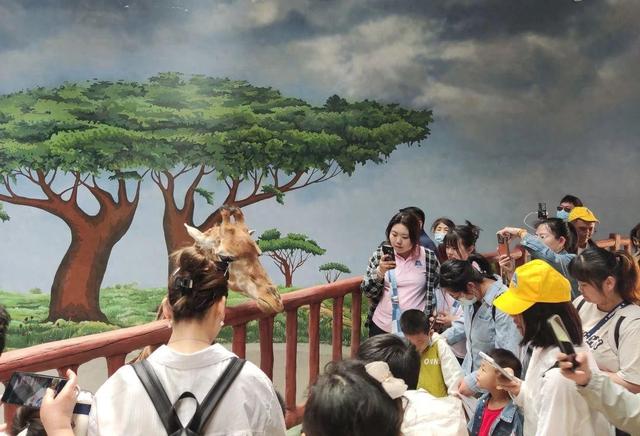 天津津翔野生动物园正式获批国家“4A级旅游景区”