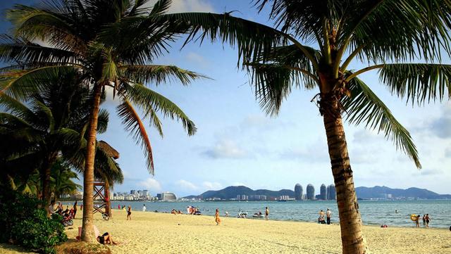 海南产花胶吗 2026年海南有花胶卖吗
