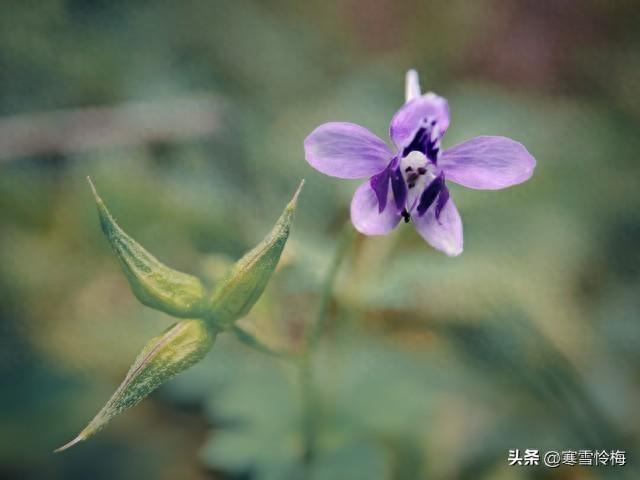 男人如何去刺激女人的荷尔蒙？方法很简单，不信可以试试	。