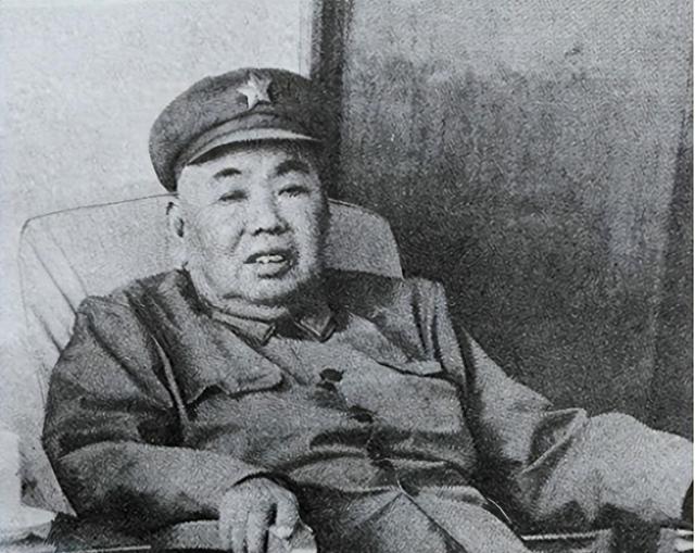 1979年，党中央抓捕许世友儿子，许世友得知后：一定要枪毙！
