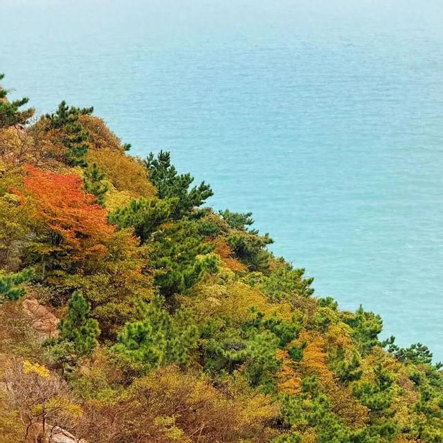 美到词穷！灵山岛秋日慢游攻略来了→