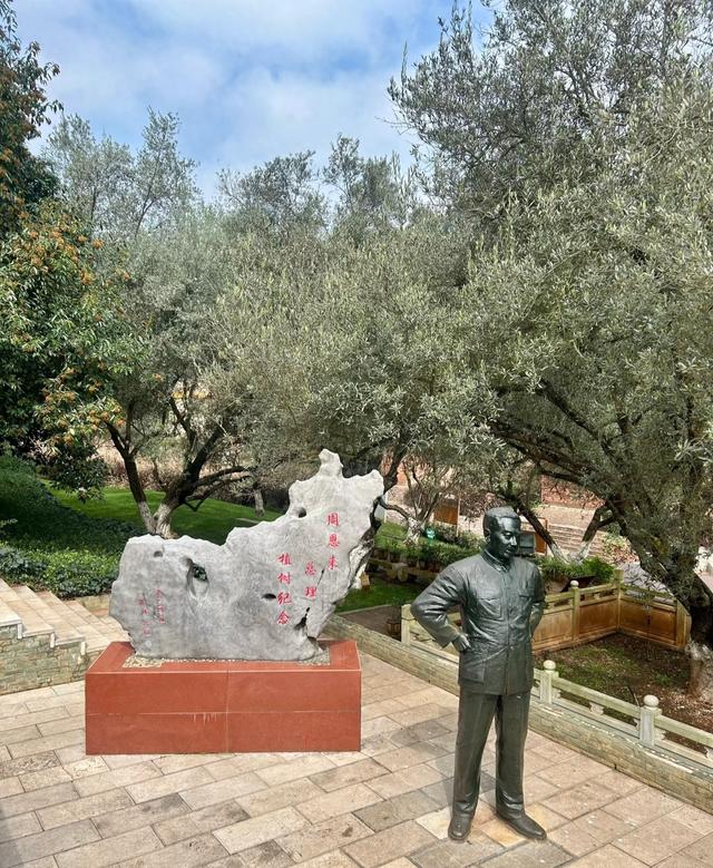 到滇池之上边，看周总理种植的树与秋日红枫林