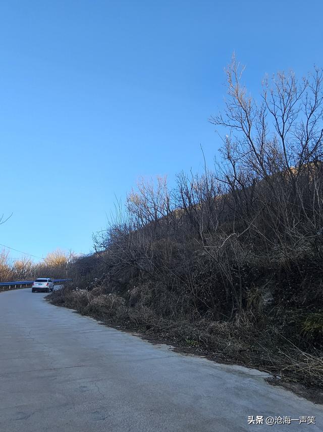 大山和大海，你更向往哪一个？大山里有风景，大海里有风情!