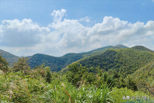 自然与人文交织，这个小山村靠“贡茶文化”走出了特色发展之路