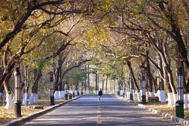 秋之彩色吉林｜层林尽染，鹿影翩跹！这里的秋天美成一首诗