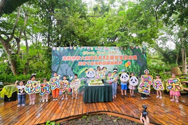 海南热带野生动植物园庆生熊猫兄弟暨国际熊猫粉丝节启幕