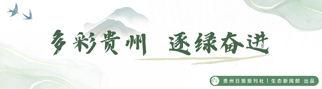 阿哈湖公园：精细管理完善服务，让“天然空调”更美