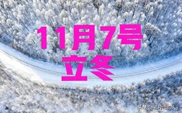 “白天立冬，穿单衣；晚上立冬，冻死牛”，今年立冬在几点？