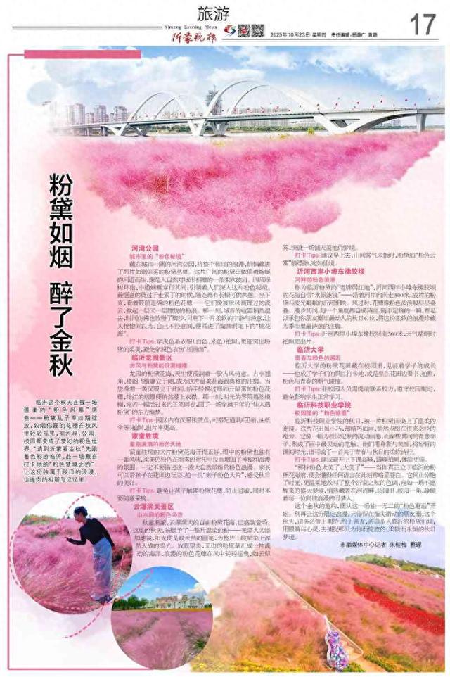 粉黛如烟 醉了金秋！临沂这些“粉色秘境”等你打卡