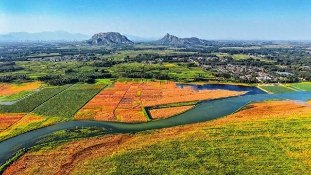 影像记录丨河北石家庄平山：滹沱河畔秋日美