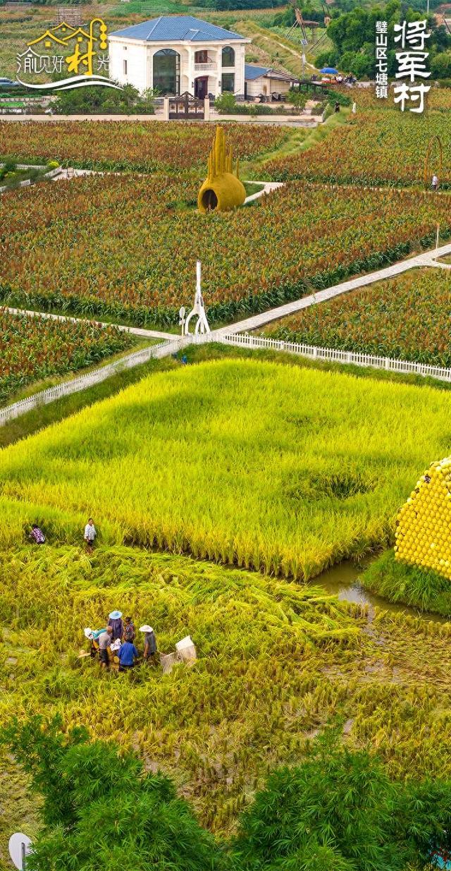 渝见好“村”光 | 垄上艺境：璧山区七塘镇将军村
