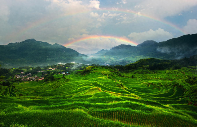 借自然妙手重现源头生机 循生态之道护美绿水青山——瓯江源头区域“中国山水工程”实践