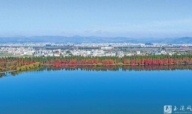 冬日玉溪 美韵尽显