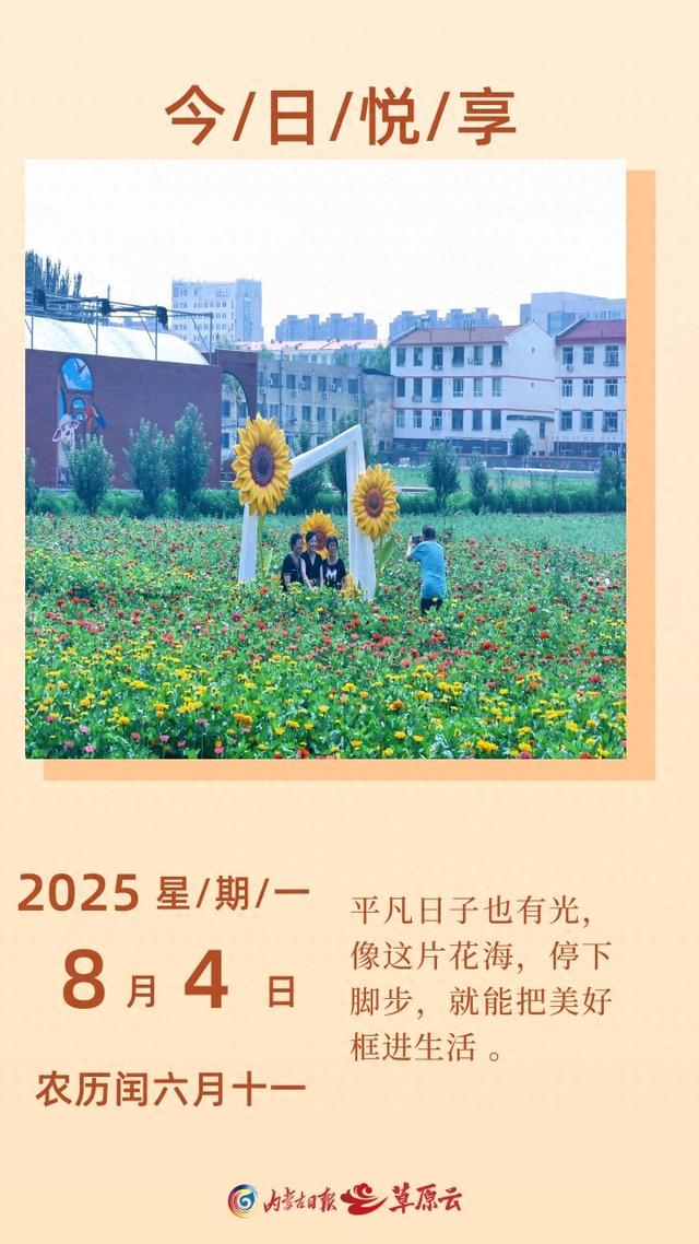 悦享丨城市边角，花海藏欢