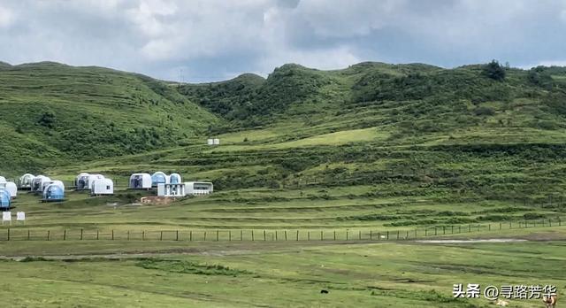 夏日静享阿西里西大草原的那份清凉时光
