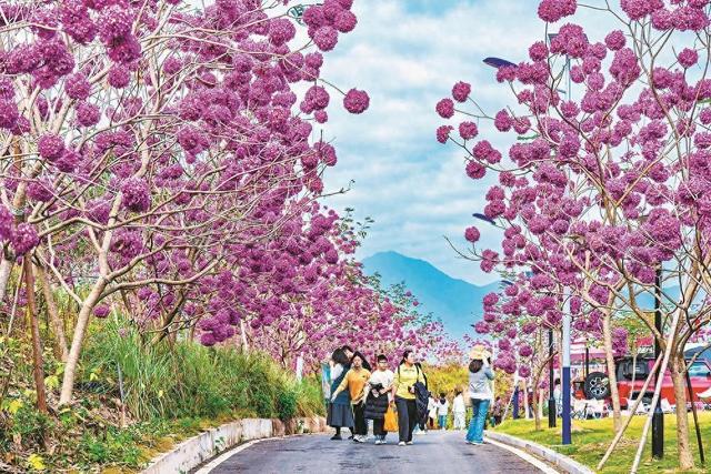 厦门：冬暖如春