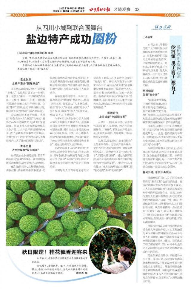 秋日限定！桂花飘香迎客来