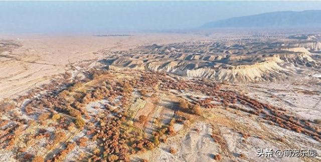 霍拉山脚下红柳林，深红如火焰跳跃，我被这绝美景致震撼了