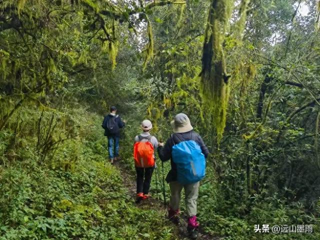 攀登昆明十峰之宜良老爷山，经历密林大雨考验，惊喜交加，难忘