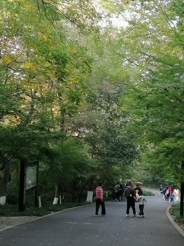 南京栖霞山，当下赏红叶一份实用指南