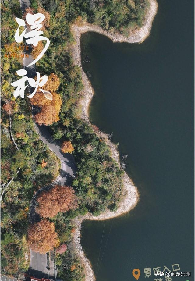 十一月底道观河，满山红叶如火海，湖心蝴蝶结美得让人窒息