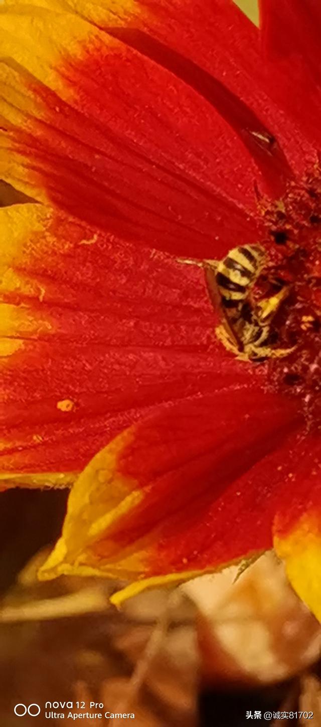 情怕骗，心怕伤	，爱怕哄骗，信任怕伤害