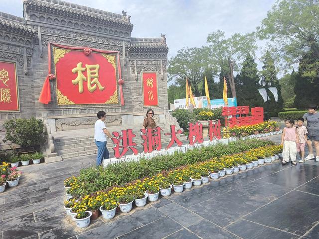 归根之旅：山西洪洞大槐树下的血脉寻踪
