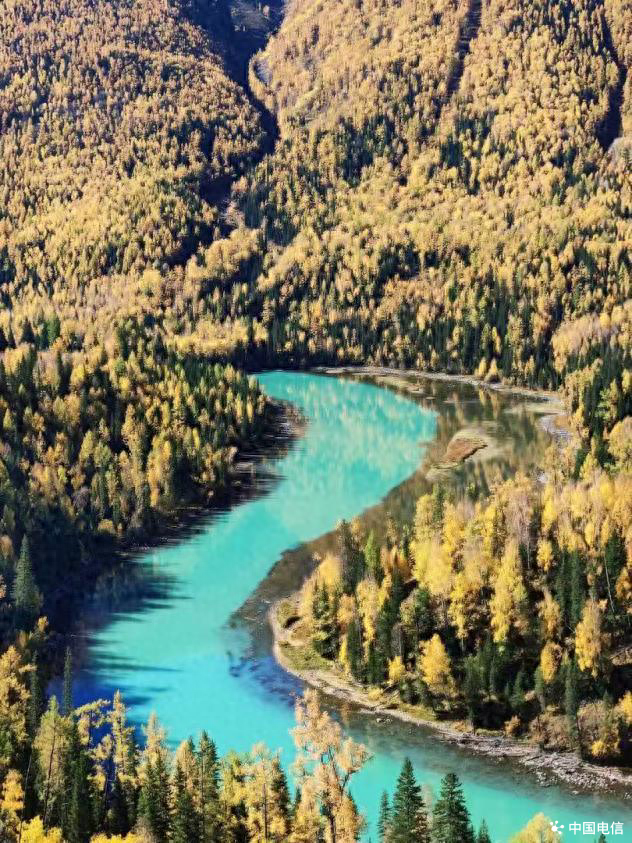 新疆秋景又双叒叕火了！三大秘境邀你共赴秋色之约