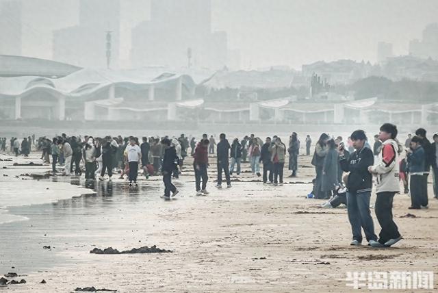 海滨雾朦胧，游客兴致浓