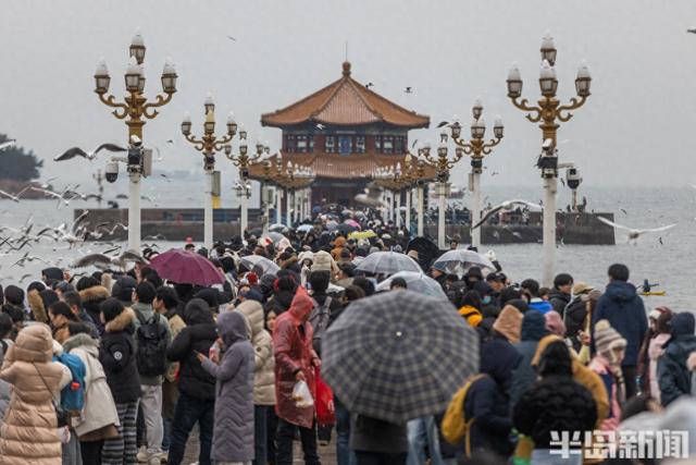小雪不挡“鸥”式浪漫