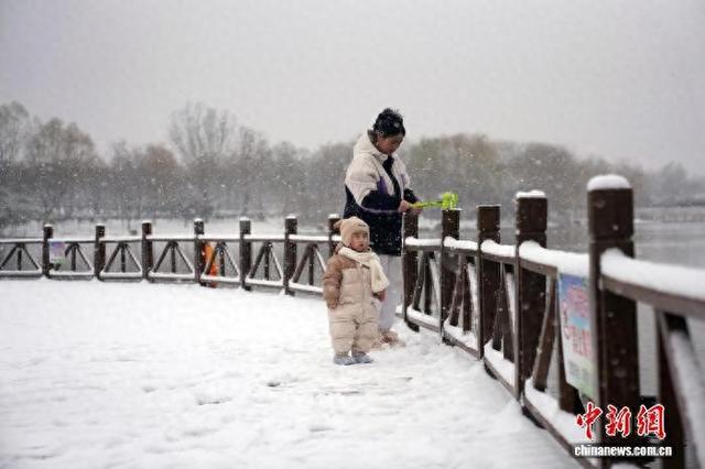 河北峰峰：初雪漫洒 冬色如画